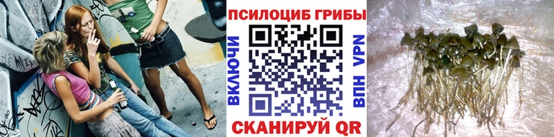 Псилоцибиновые грибы Magic Shrooms Кириши