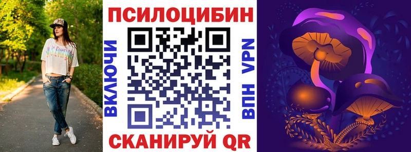 blacksprut рабочий сайт  Кириши  Псилоцибиновые грибы мицелий  как найти  