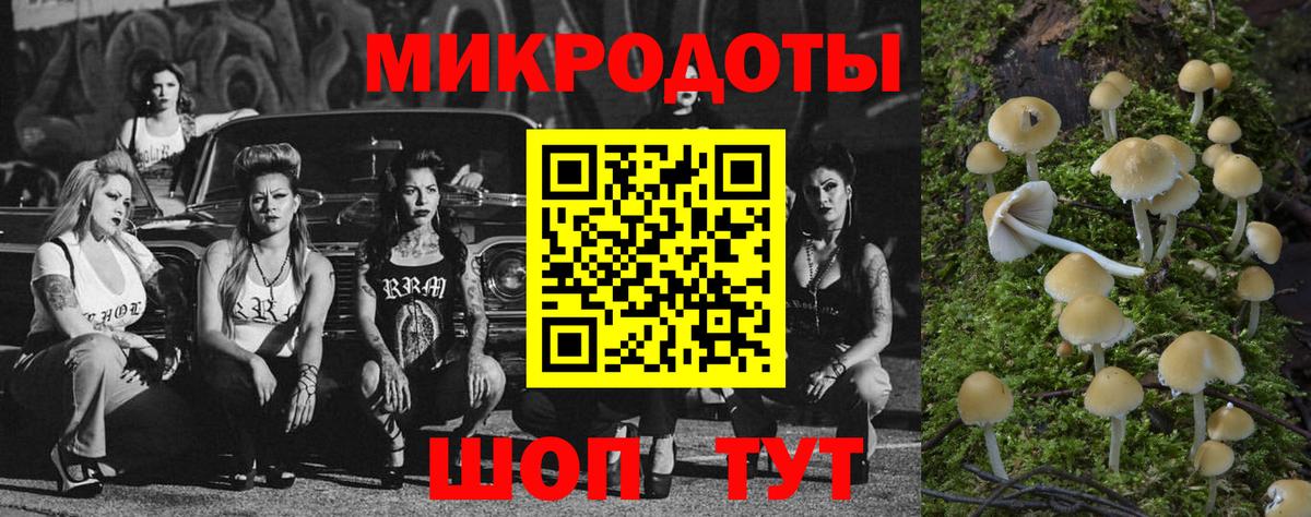 купить закладку  Галлюциногенные грибы Psilocybe  Вход с VPN  Кириши 