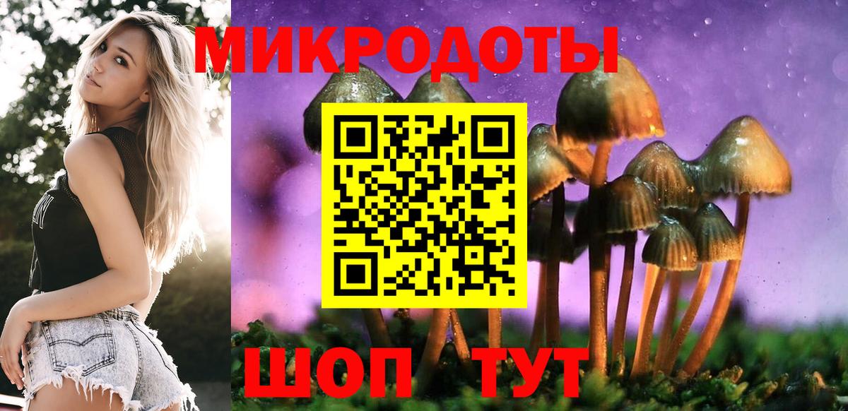 Галлюциногенные грибы GOLDEN TEACHER Кириши